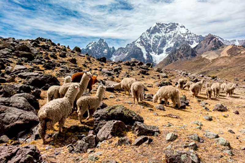 7 Lakes of Ausangate turquoise glacial lagoons and snowy mountain peak in Peru