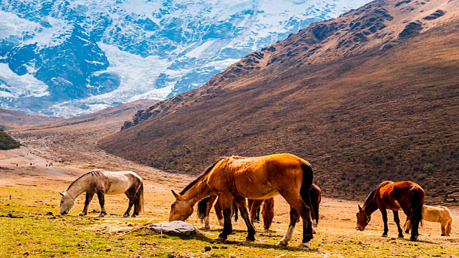 Classic Inca Trail to Machu Picchu: The Ultimate 4-Day Experience