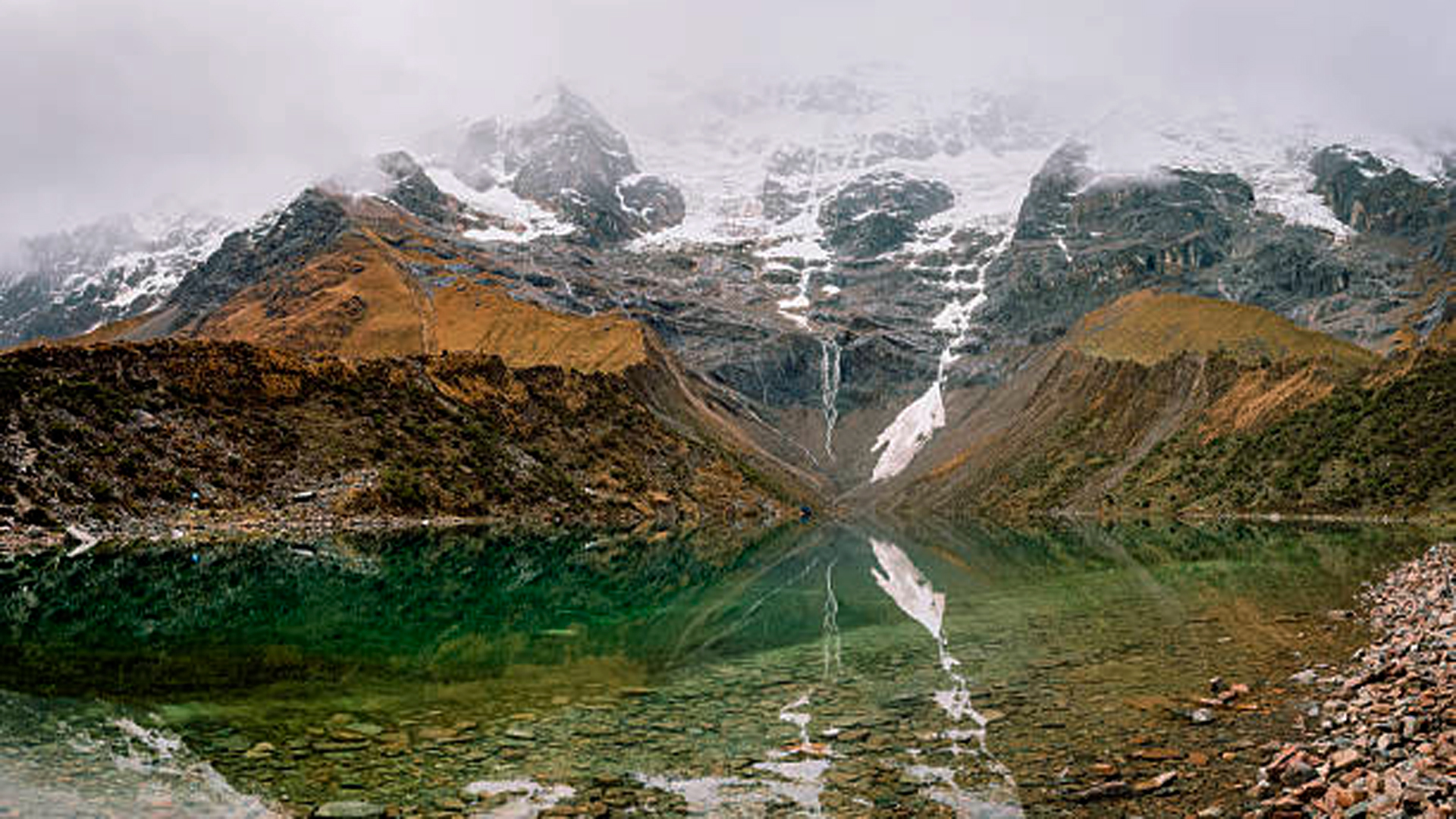 The Flora and Fauna of the Salkantay Trek: A Journey Through the Ecosystems of the Andes